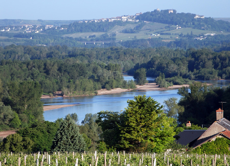 Loire valley wines tours