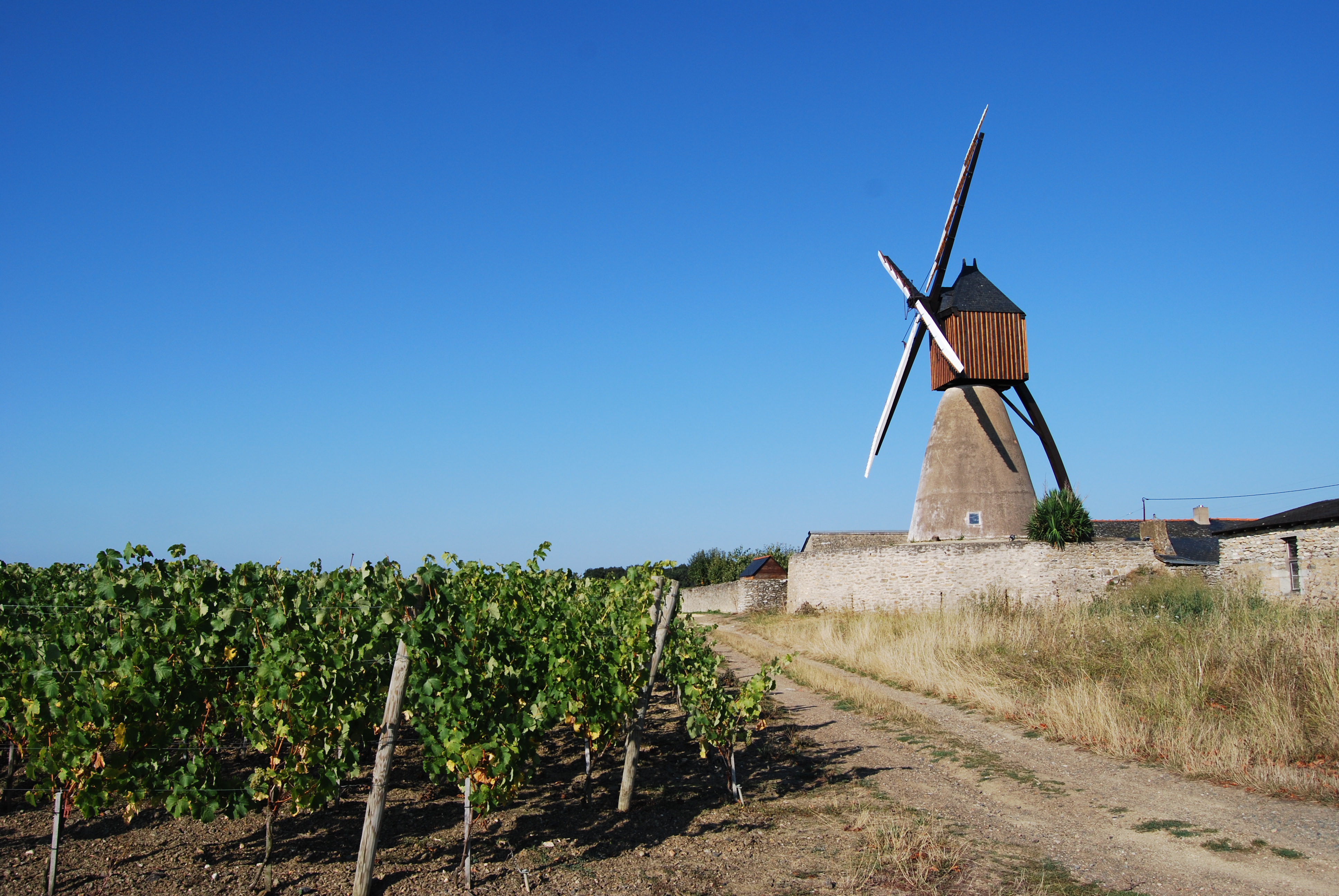 Fontevraud wine tour Loire Valley 